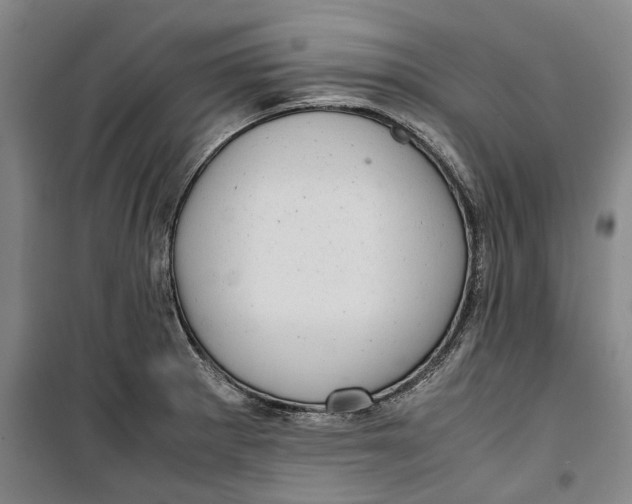 X0000099411281200805301338