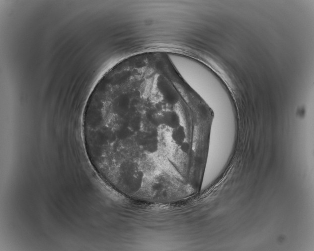 X0000099411283200805301338