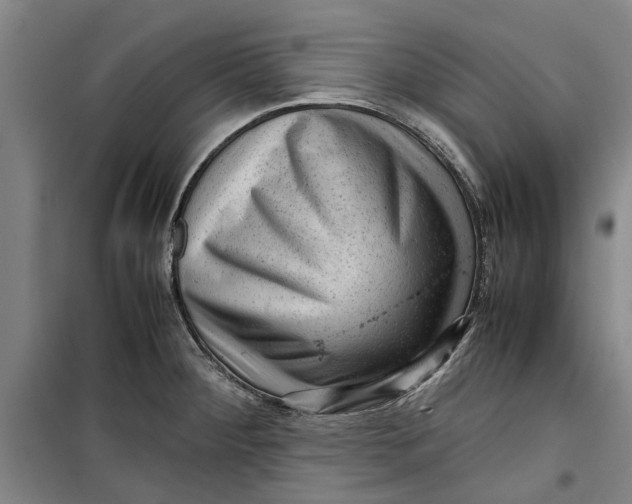 X0000099411284200805301338