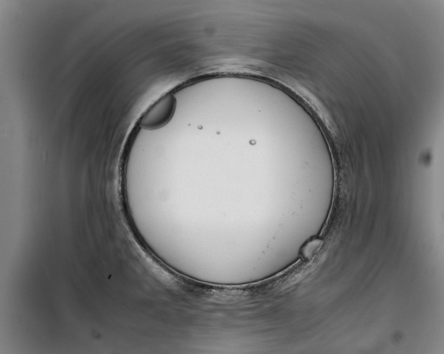 X0000099411285200805301337