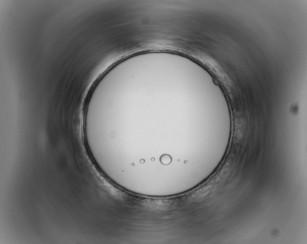 X0000099411286200805301337