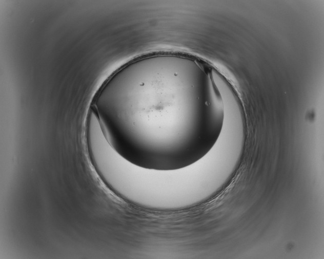 X0000099411287200805301337