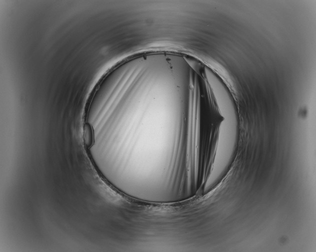 X0000099411288200805301337