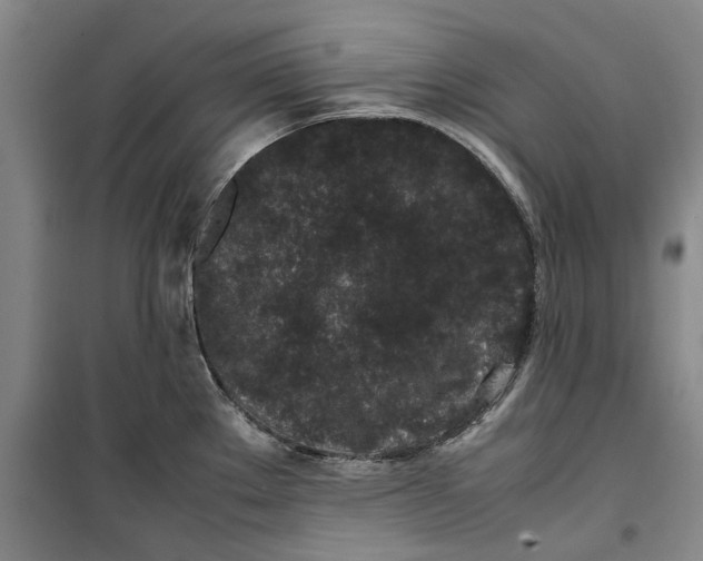 X0000099411289200805301337