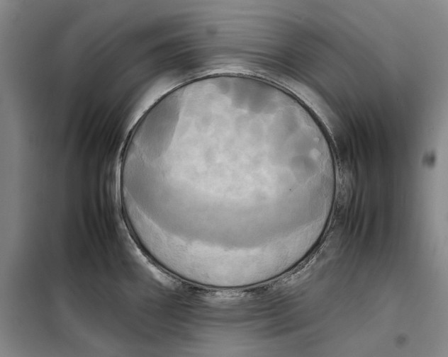 X0000099411290200805301337