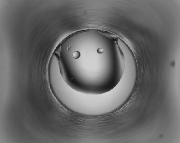 X0000099411291200805301337