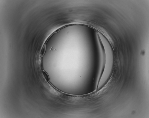 X0000099411292200805301337