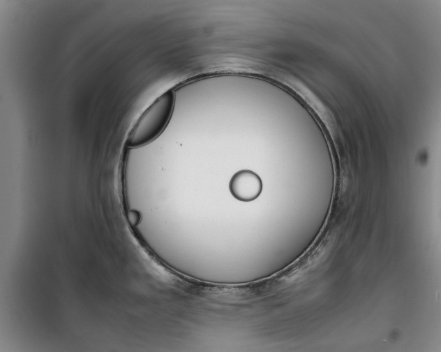 X0000099411293200805301337