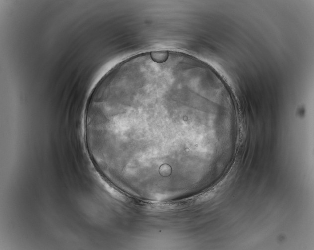 X0000099411294200805301337