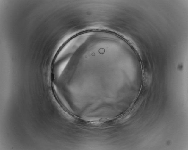 X0000099411295200805301337