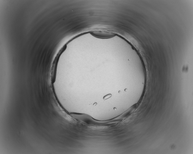 X0000099411296200805301337