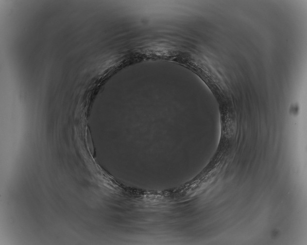 X0000099411297200805301337