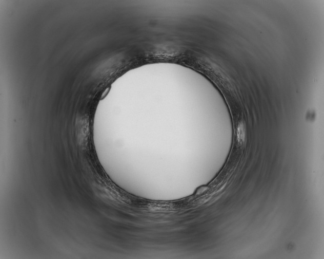 X0000099411299200805301337