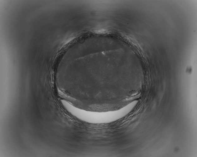 X0000099411301200805301337