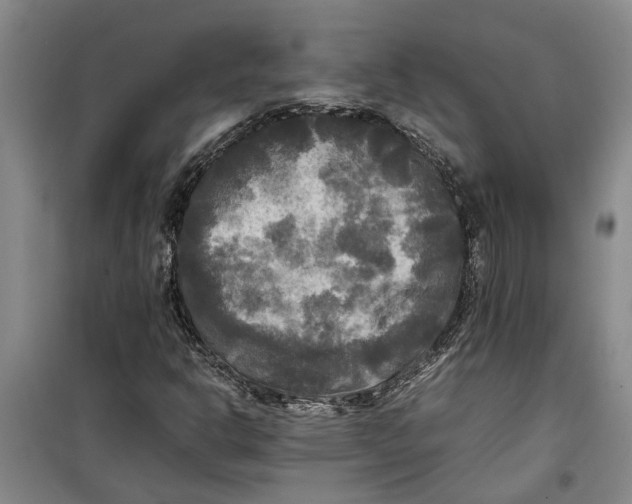 X0000099411302200805301337