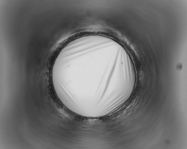 X0000099411304200805301337