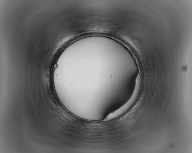 X0000099411307200805301337