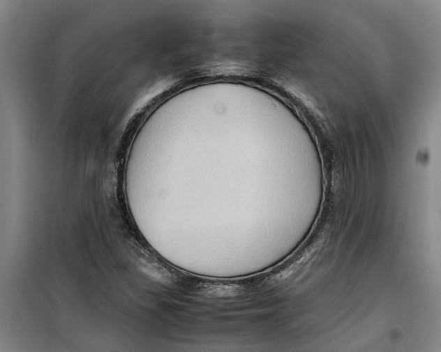 X0000099411309200805301337