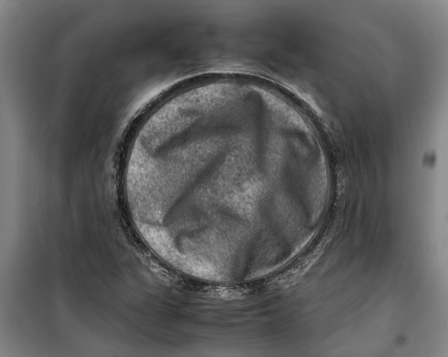 X0000099411311200805301337