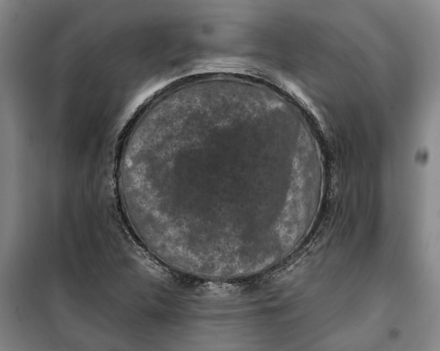 X0000099411312200805301337