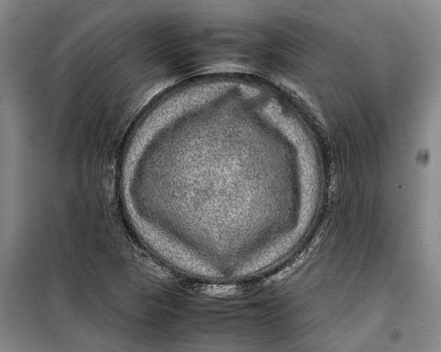 X0000099411313200805301337