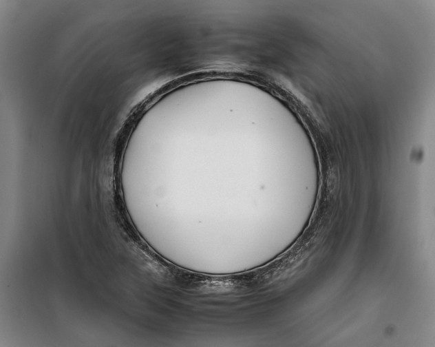 X0000099411315200805301337