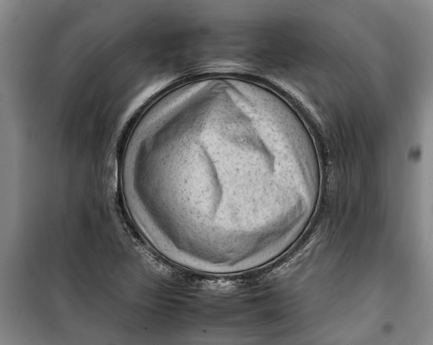 X0000099411317200805301337