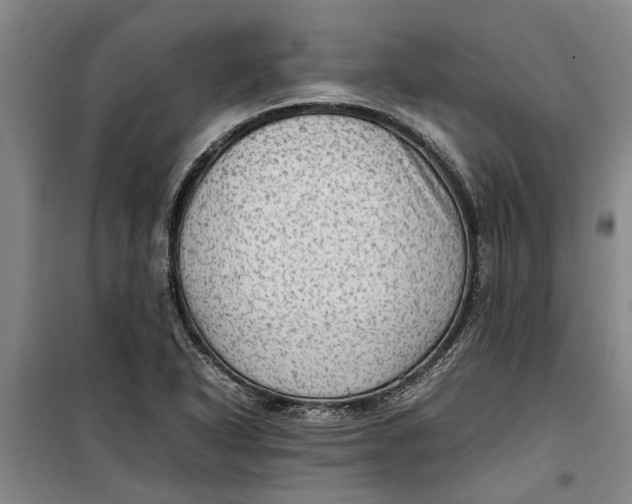 X0000099411318200805301337