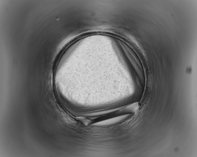 X0000099411320200805301337