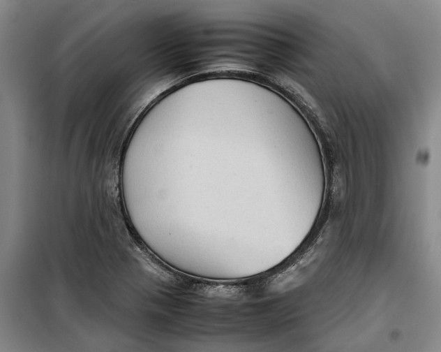 X0000099411321200805301337