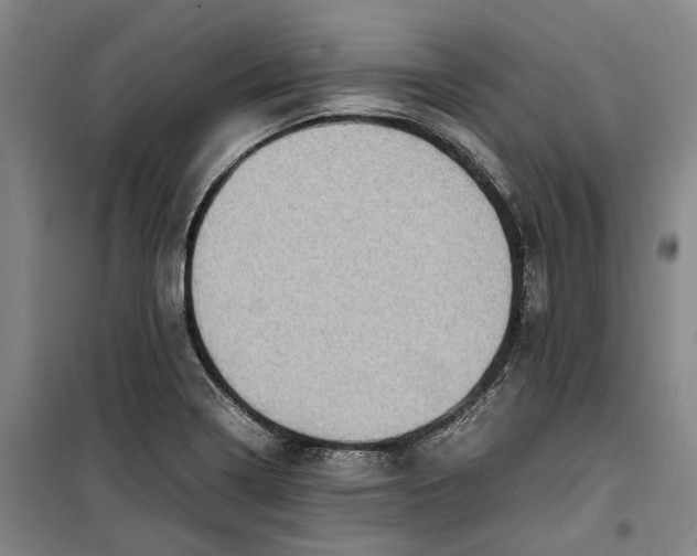 X0000099411322200805301337