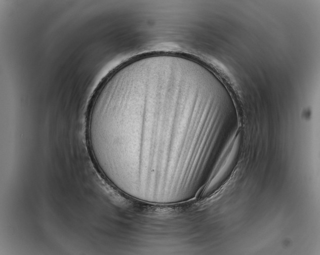 X0000099411326200805301337