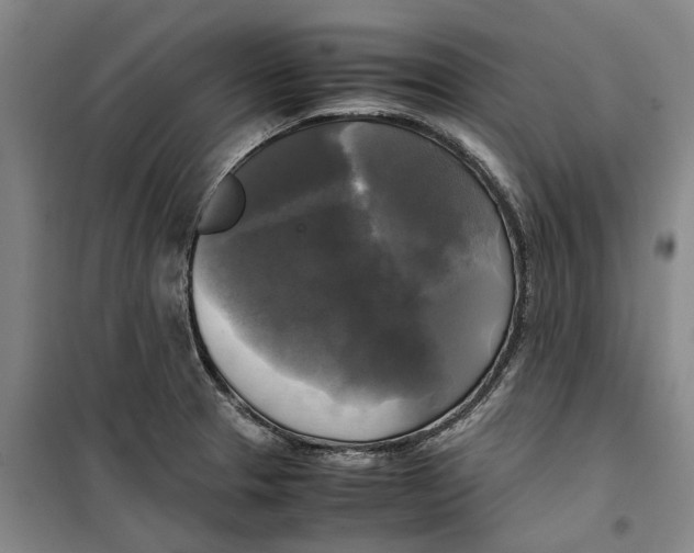 X0000099411329200805301337