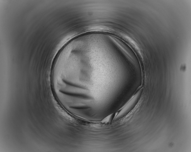 X0000099411330200805301337