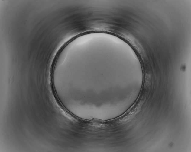 X0000099411331200805301337