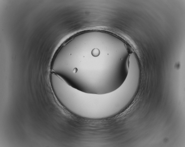 X0000099411332200805301337