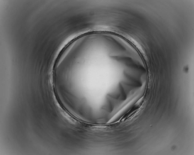 X0000099411342200805301337