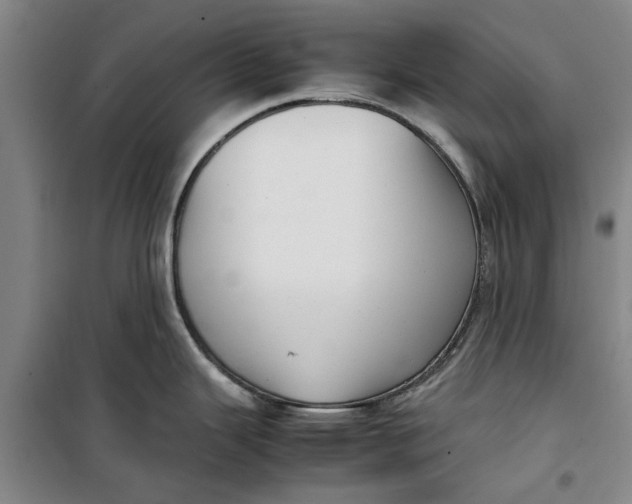 X0000099411343200805301337