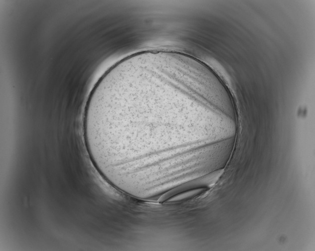 X0000099411344200805301337