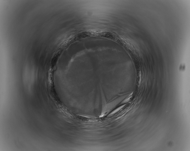 X0000099411346200805301337