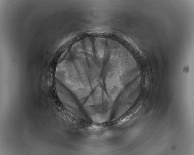 X0000099411350200805301337