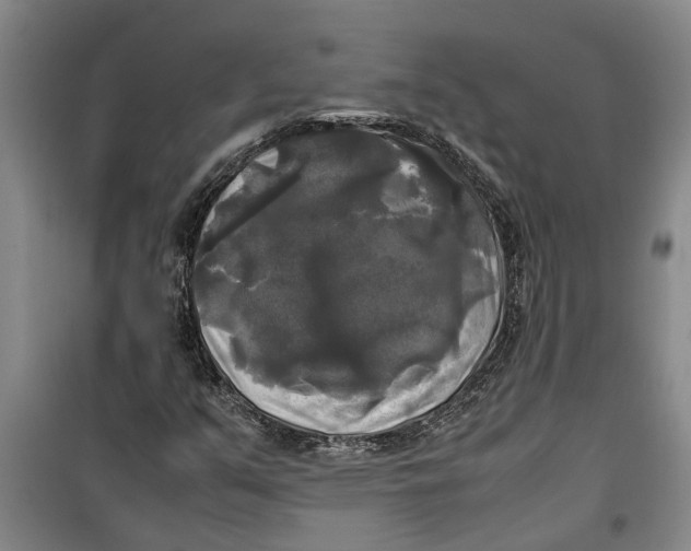 X0000099411351200805301337