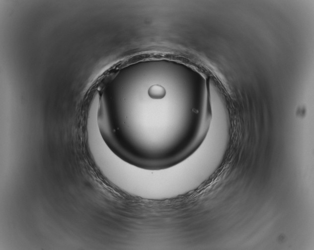 X0000099411352200805301337