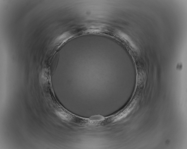 X0000099411353200805301337