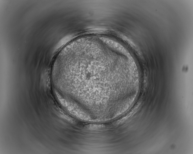 X0000099411354200805301337