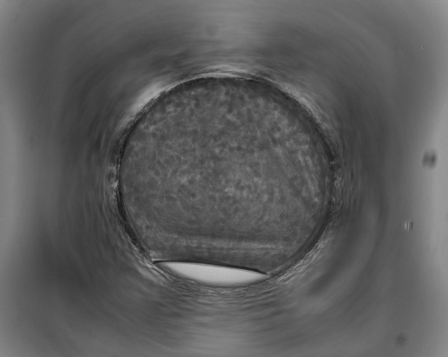 X0000099411355200805301337