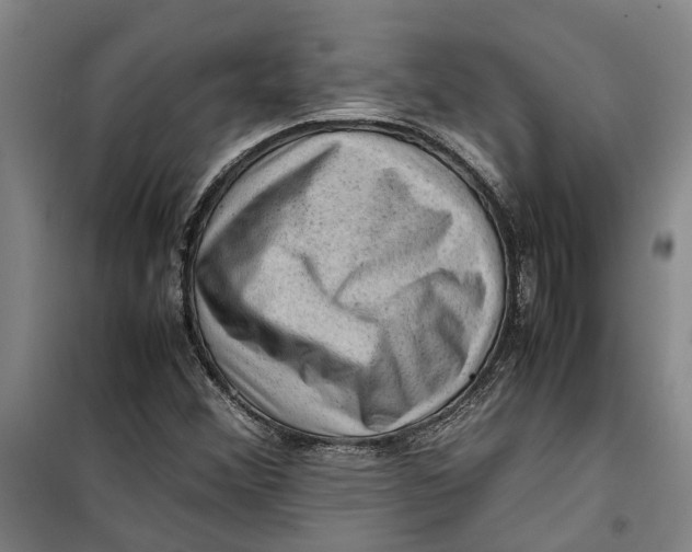 X0000099411356200805301337