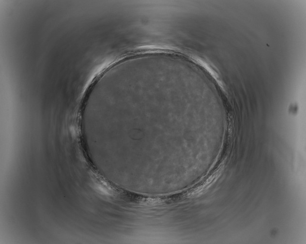 X0000099411357200805301337