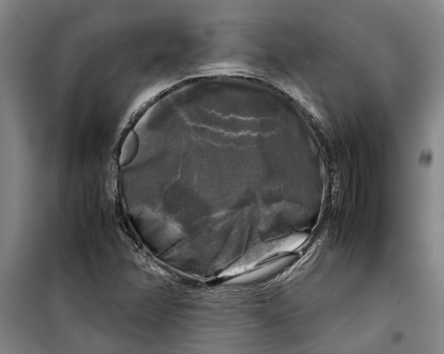 X0000099411358200805301337