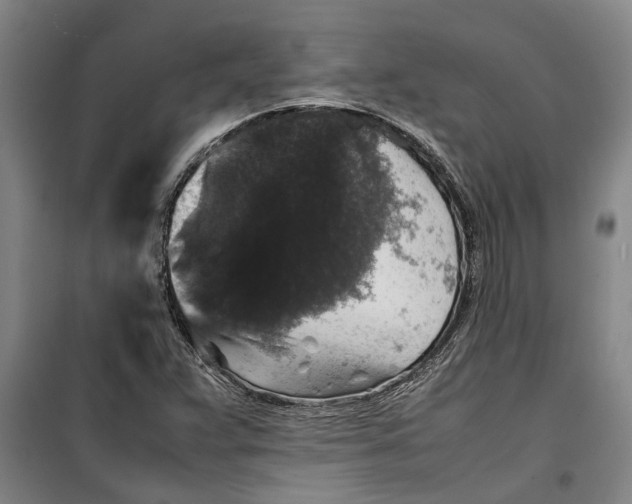 X0000099411359200805301337